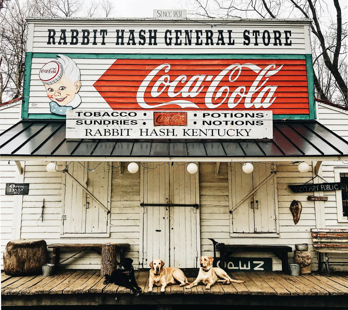 Rabbit Hash, Kentucky