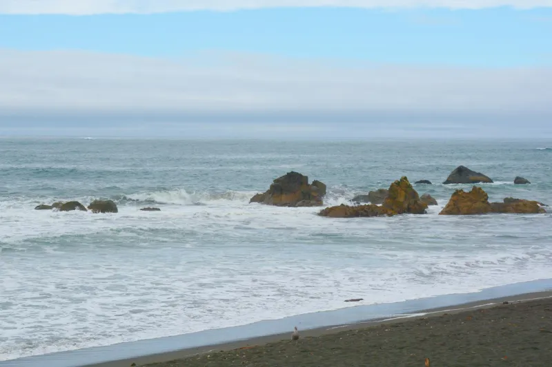 The River That Hired a Legal Team and Started Billing the Government